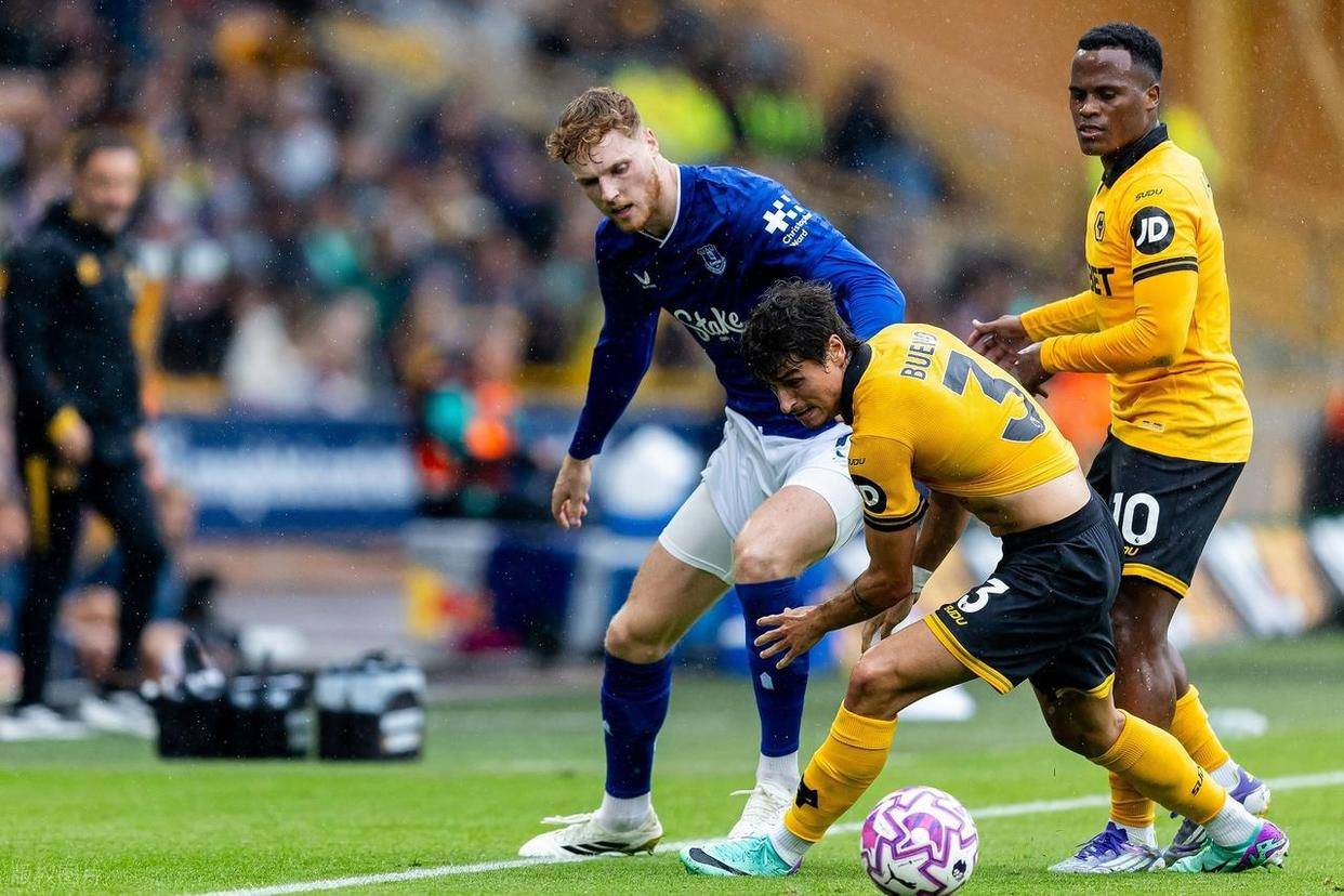 关于埃弗顿重返主场主场,力争反弹的信息 关于埃弗顿重返主场主场,力争反弹的信息