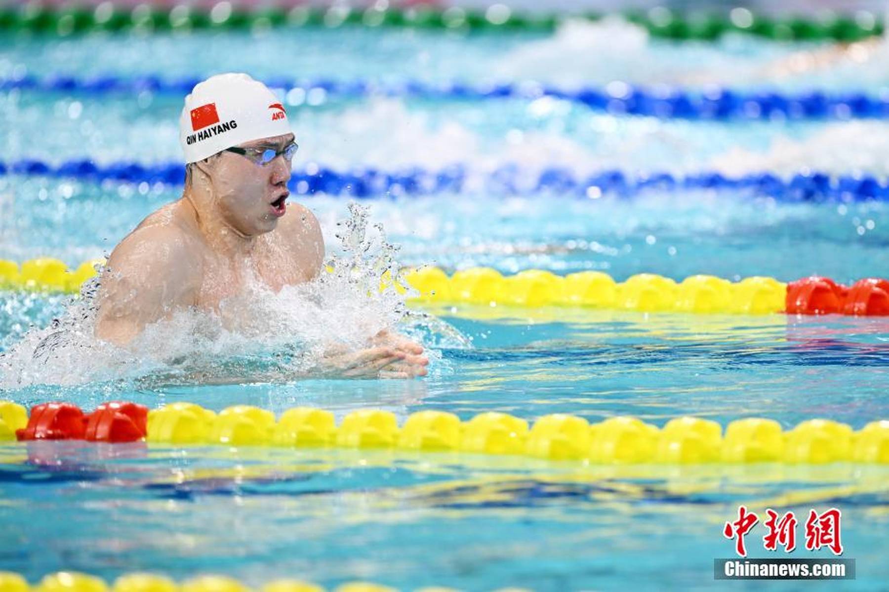游泳冠军实力碾压，金牌在望的简单介绍